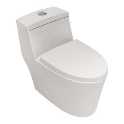 Ceramic One Piece Toilet, Dual Flush With Soft Closing Seat 0000
