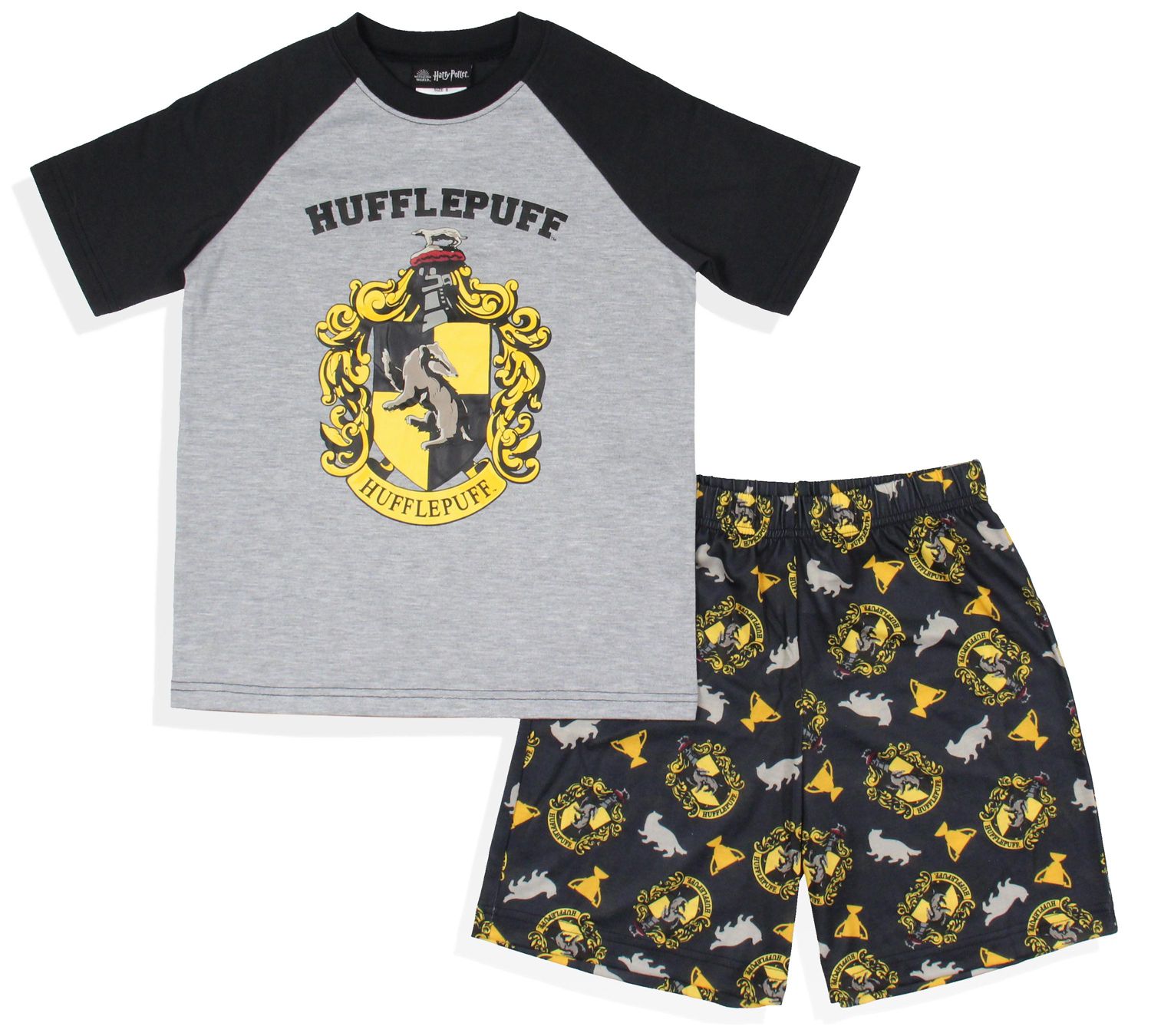 Boys' Hogwarts Castle All Houses Kids 2 Piece Raglan Pajama Set