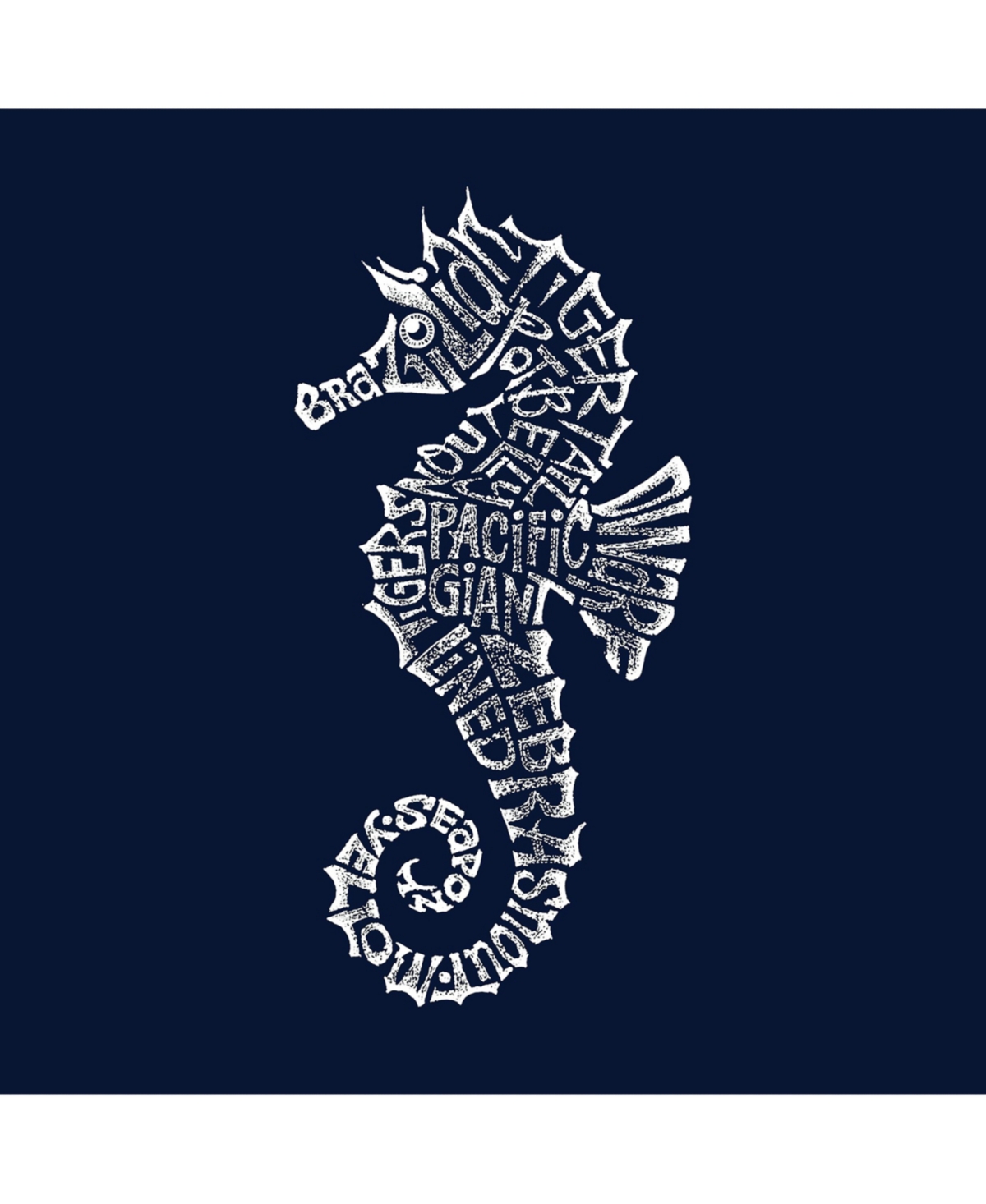 La Pop Art Boys Word Art T-shirt - Types of Seahorse