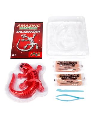Amazing Creatures Synthetic Dissection Kit - Salamander