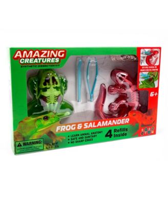 Amazing Creatures Synthetic Dissection Kit - Salamander Frog Double Pack