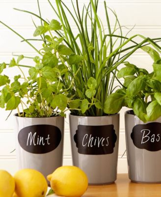 Silicone 31 Piece 3.5 x 2"Spice Label and Chalk Marker Set