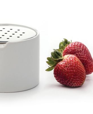 Endurance Stainless Steel 3.25" x 2.5" Fruit Fly Trap