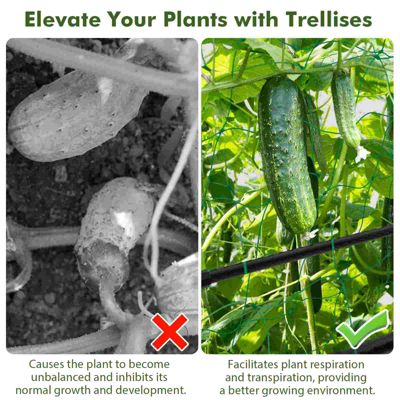 Cucumber Trellis Foldable Garden Tunnel Trellis with Adjustable Auxiliary Clips