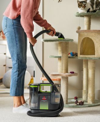 Little Green Max Pet Portable Carpet Cleaner
