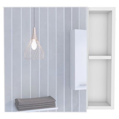 Myrick 2-Shelf Medicine Cabinet With Mirror