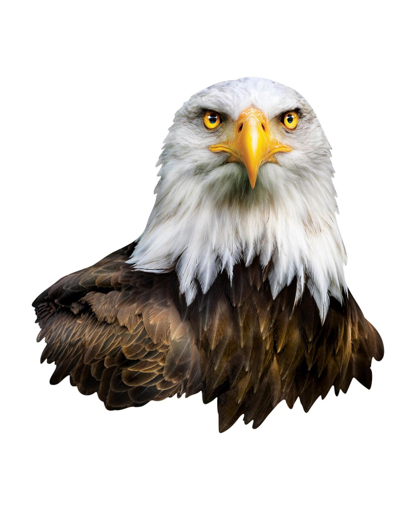 Детский пазл MasterPieces Puzzles Eagle 100 Piece Shaped Jigsaw Puzzle — фото 3