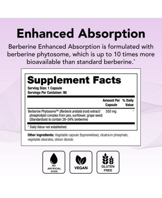 Berberine Enhanced Absorption - 90-Day Supply - Made with Berberine Phytosome to Help Support Healthy Metabolism & Hormone Balance - NSF Certified - 90 Capsules