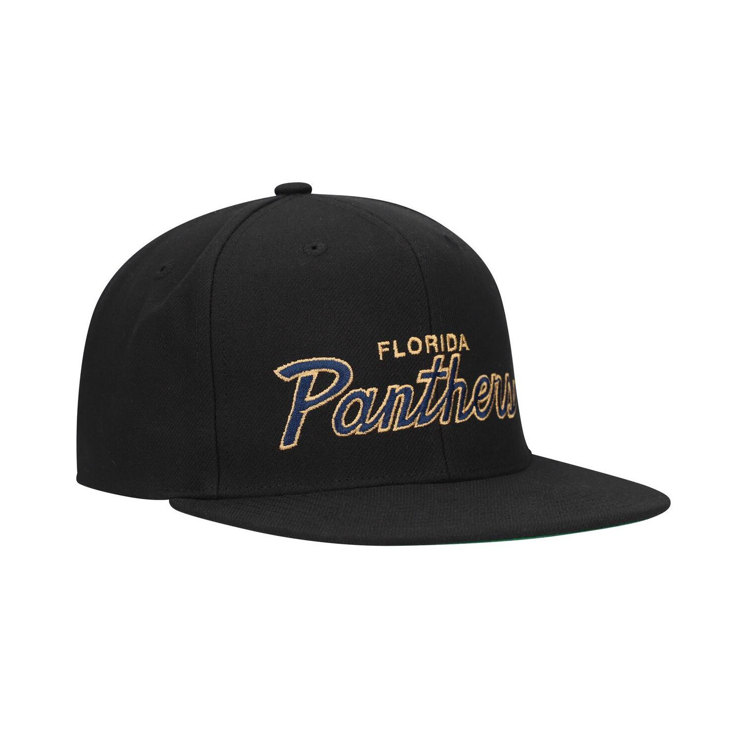 Mitchell Ness Men's Florida Panthers Core Team Script 2.0 Snapback Hat