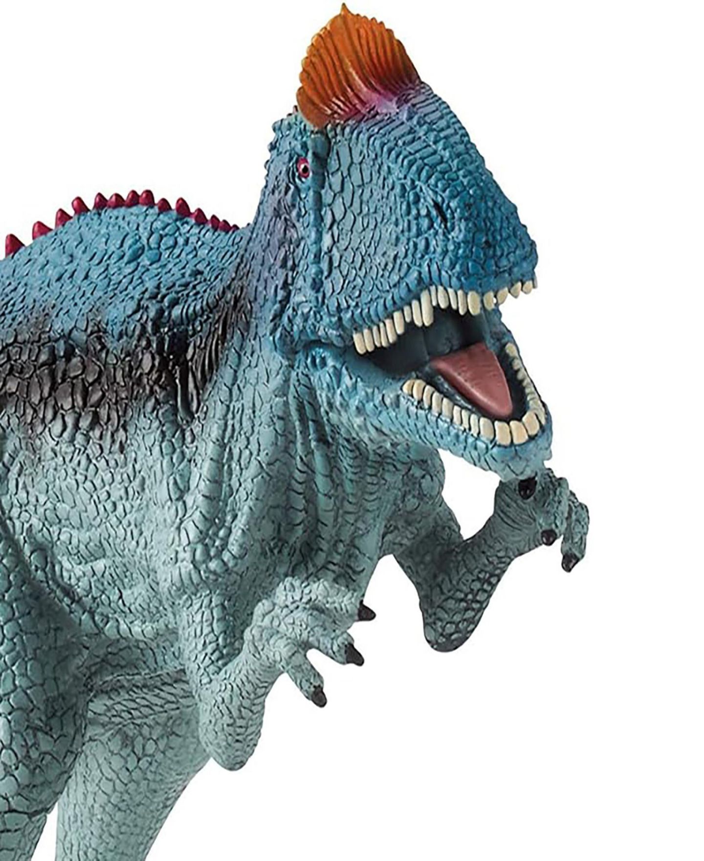 Детская фигурка Schleich Dinosaurs Cryolophosaurus Action Figure, Ages 4+ — фото 5