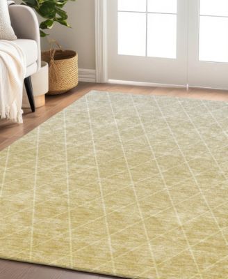 Lazio Washable LZ2 8'x10' Area Rug