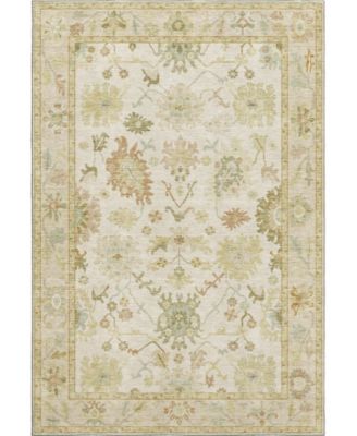 Hatay Washable HY2 8'x10' Area Rug