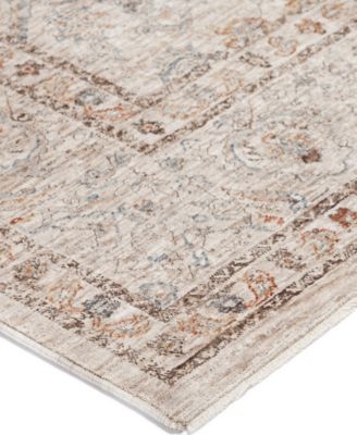 Vienna VI8 5'x7'10 Area Rug