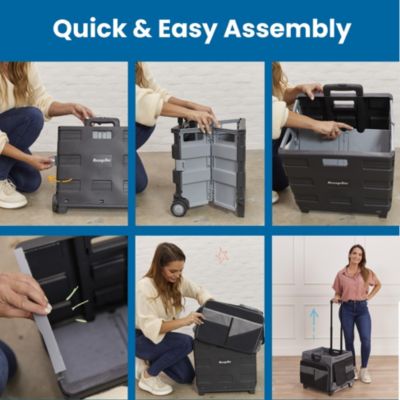 Universal Rolling Cart and Canvas Organizer - Black/Grey