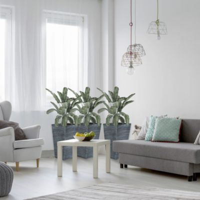 Stylish Rattan-Like Set of 3 Self-Draining Planter Pots (14x14x24")