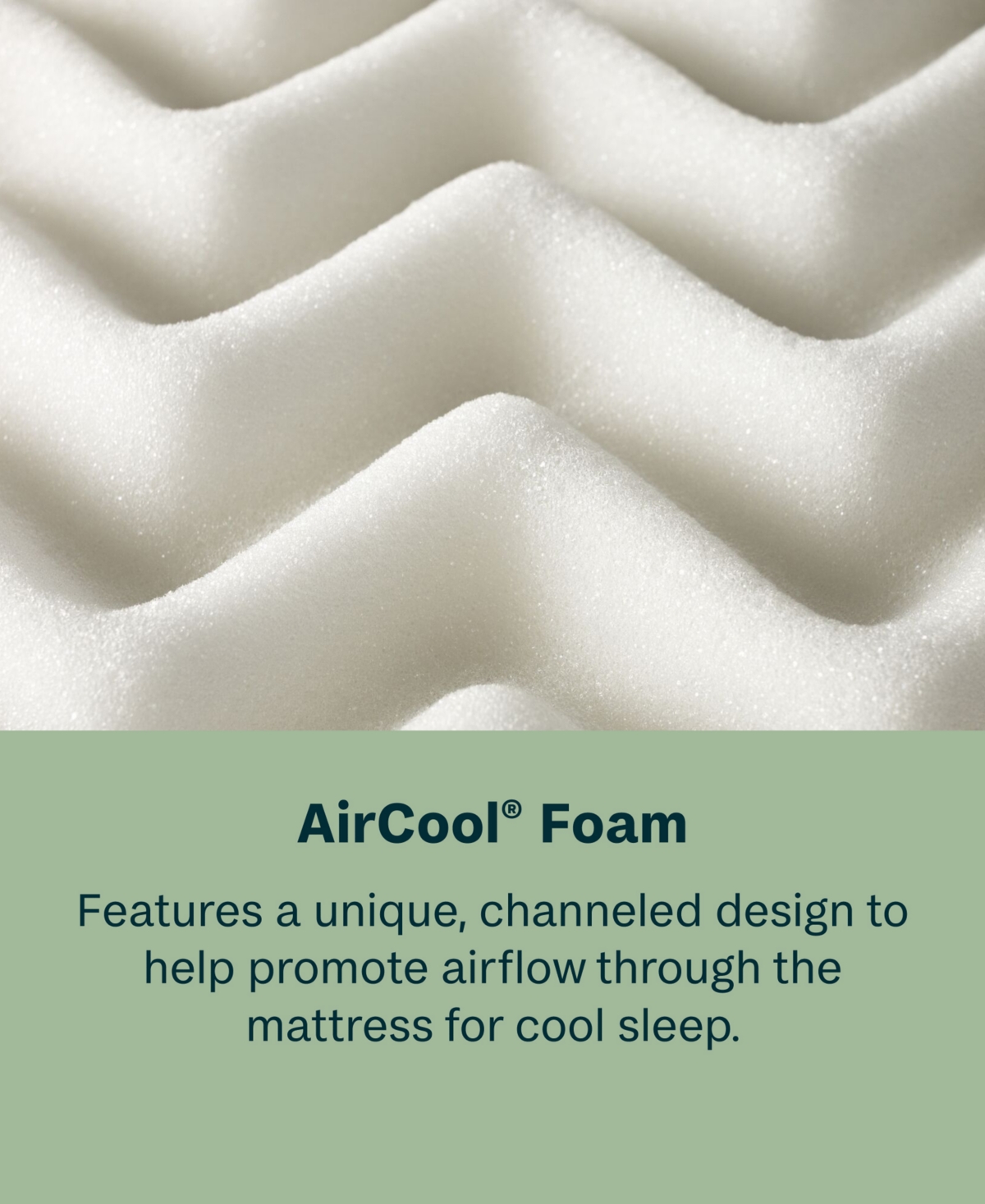 Beautyrest Beautysleep Dream Weaver 12.5" Firm Mattress In No Color
