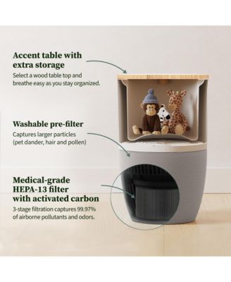 Bloom Air Purifier, Smart HEPA-13 Medical-Grade Filtration, Large Rooms (1,517 Sq. Ft.) with Oak Accent Table