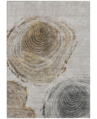 Chantille Machine Washable ACN713 5'x7'6" Area Rug