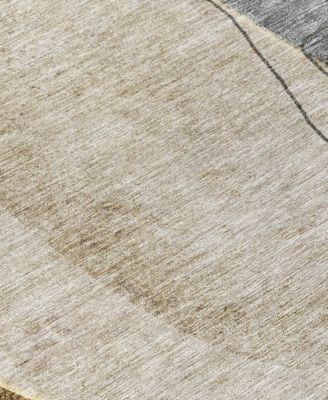 Chantille Machine Washable ACN696 8'x10' Area Rug