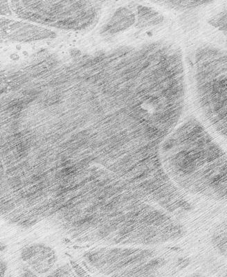 Chantille Machine Washable ACN682 2'6"x3'10" Area Rug