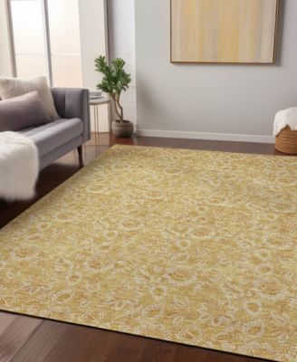 Chantille Machine Washable ACN661 8'x10' Area Rug