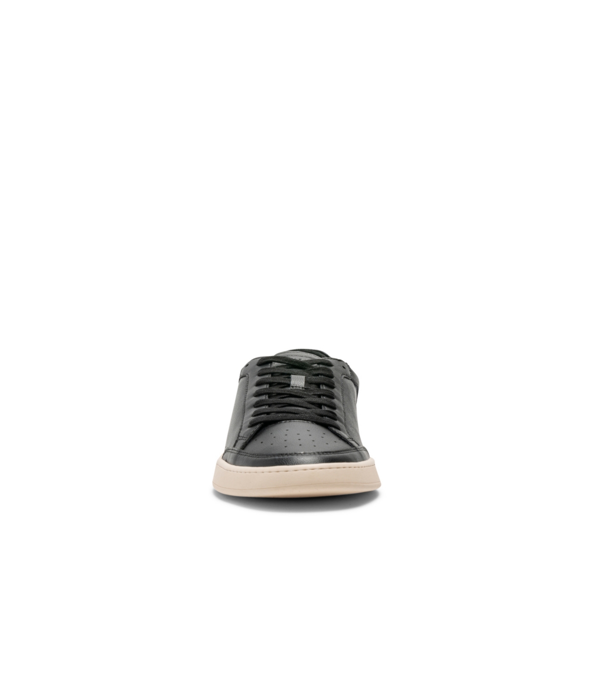 Sussex Street Sneaker