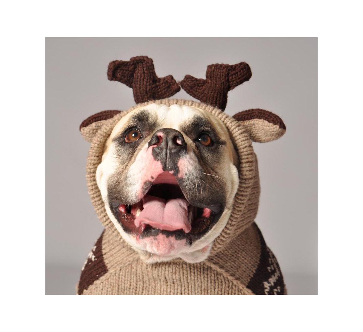 Chilly Dog L Moosey Hoodie Dog Sweater