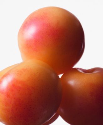 Calvin Klein Euphoria Eau de Toilette, 3.3 oz.