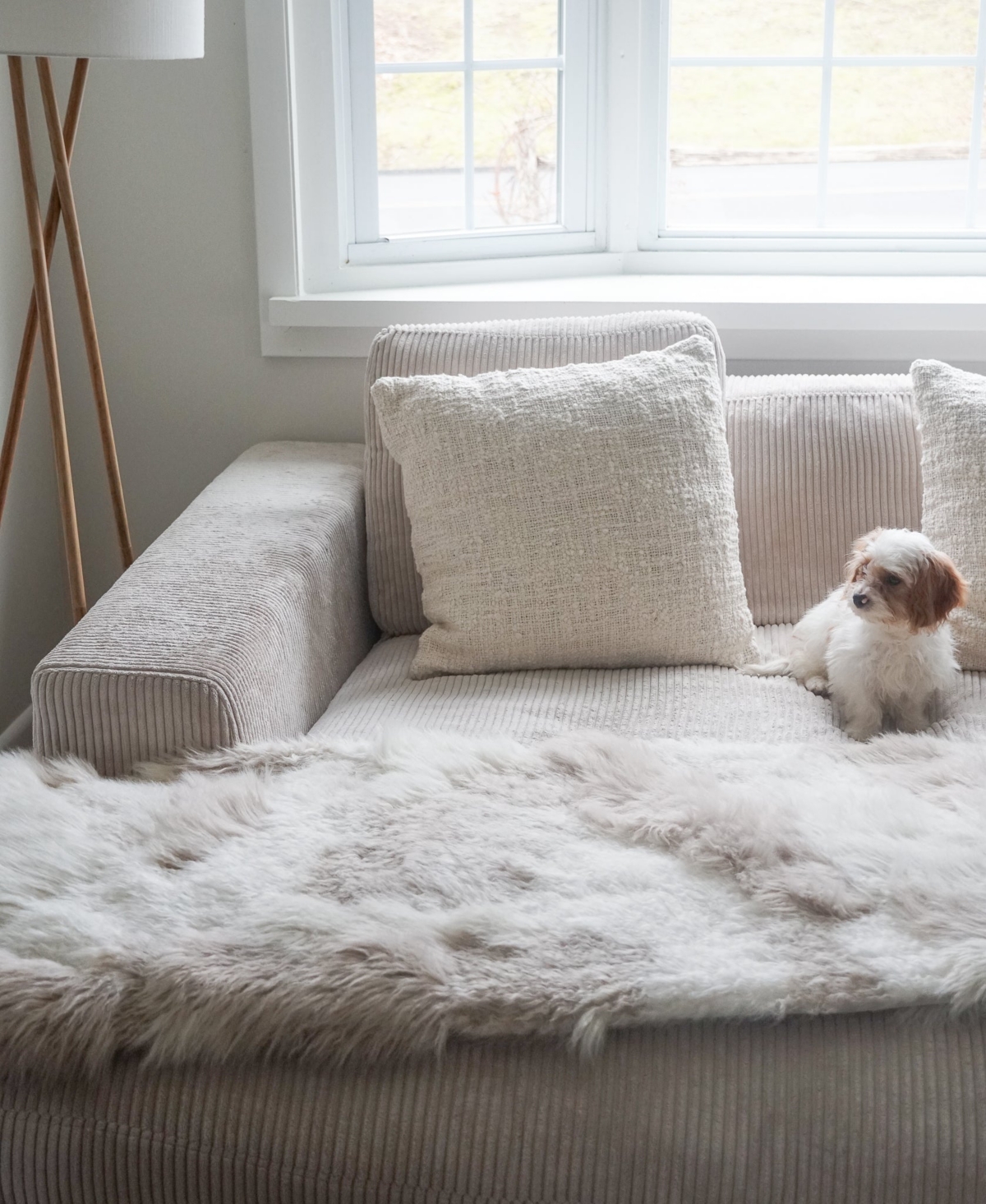 Anaya Home Cozy CottonBoucle Pillow - White
