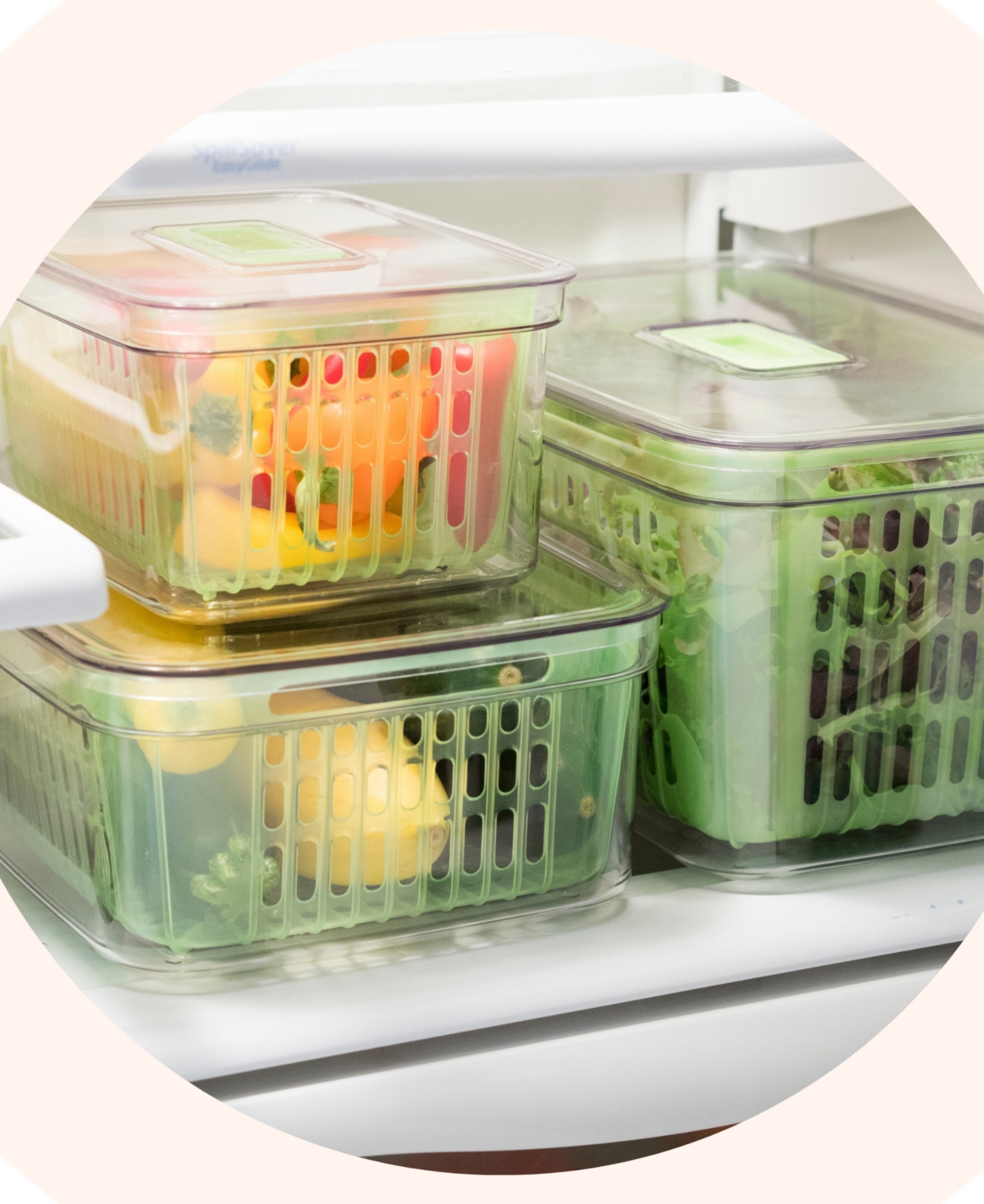 Oggi Store Fresh 12.25" X 8" X 6" Veggie Bin In Clear