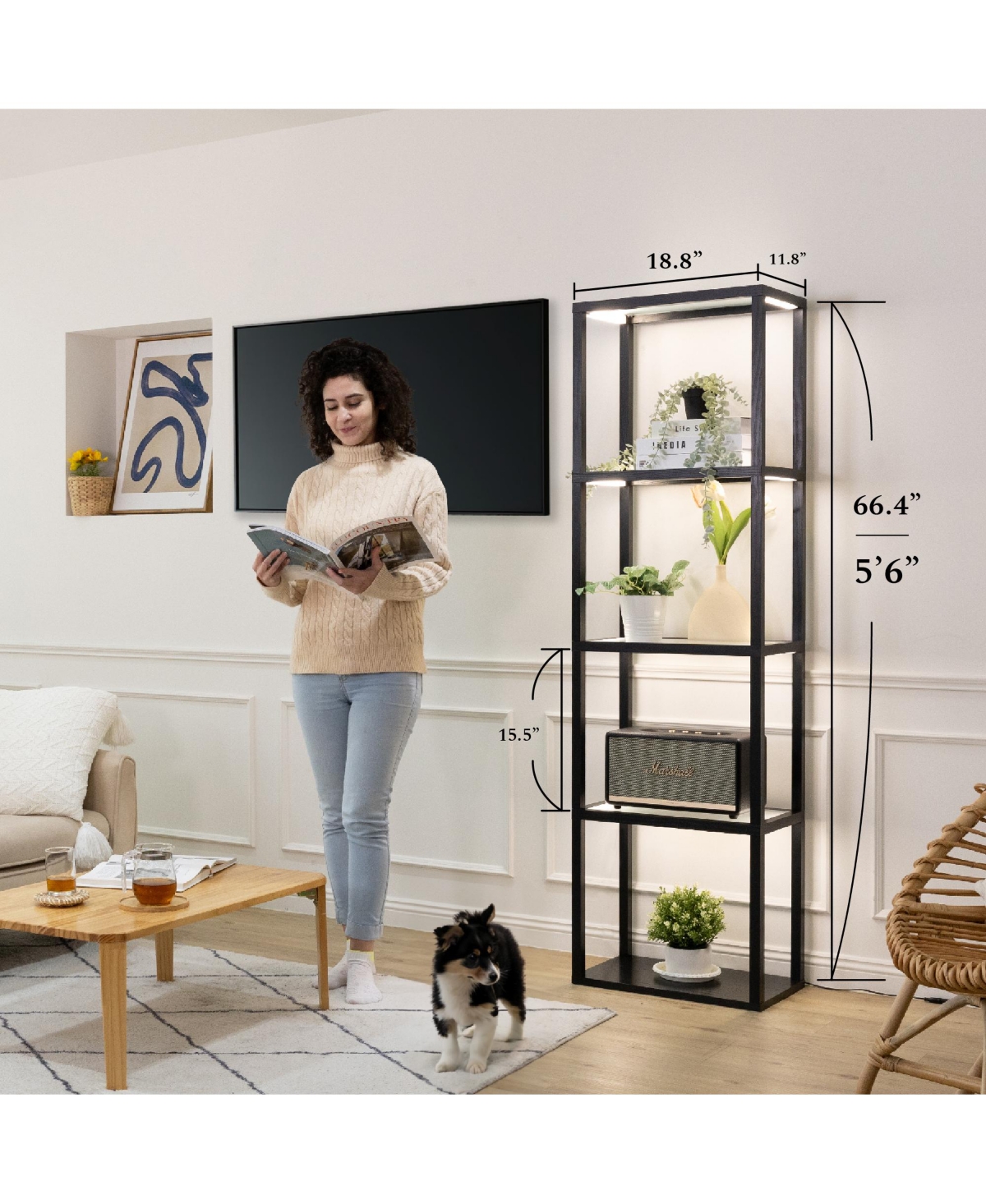 Fenlo Fantasy Plus Pro - 66” Glass Display Shelf with Dimmable Led, Color Temp Range (2700K-6000k), Remote/App Control