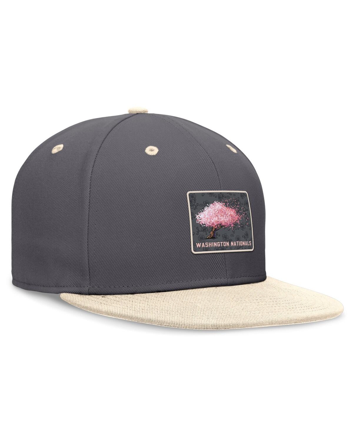 Nike Men's Graphite/natural Washington Nationals City Connect True Fitted Hat In Graphite,natural