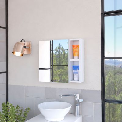 Myrick 2-Shelf Medicine Cabinet With Mirror