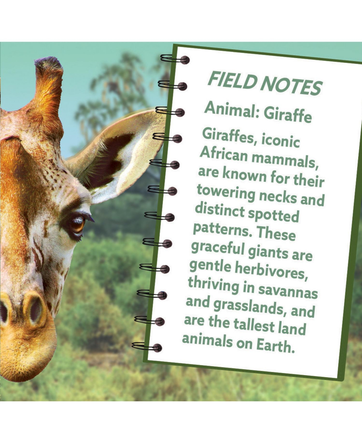 Masterpieces Giraffe 100 Piece Shaped Jigsaw Puzzle