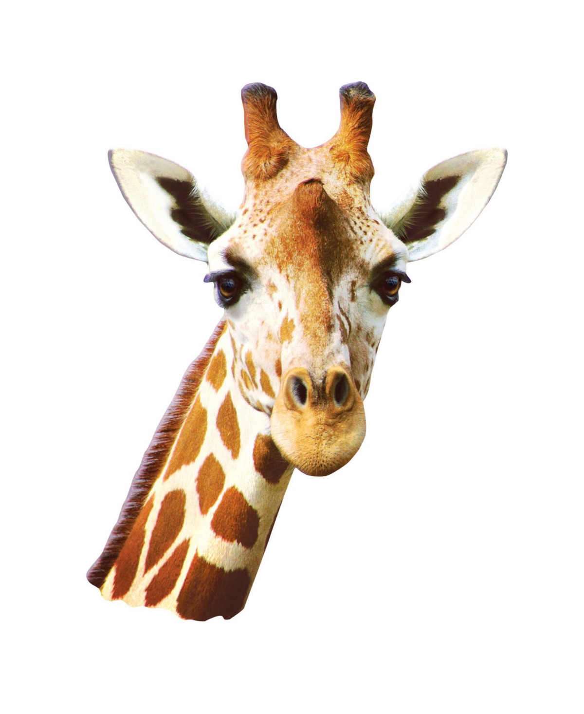 Masterpieces Giraffe 100 Piece Shaped Jigsaw Puzzle