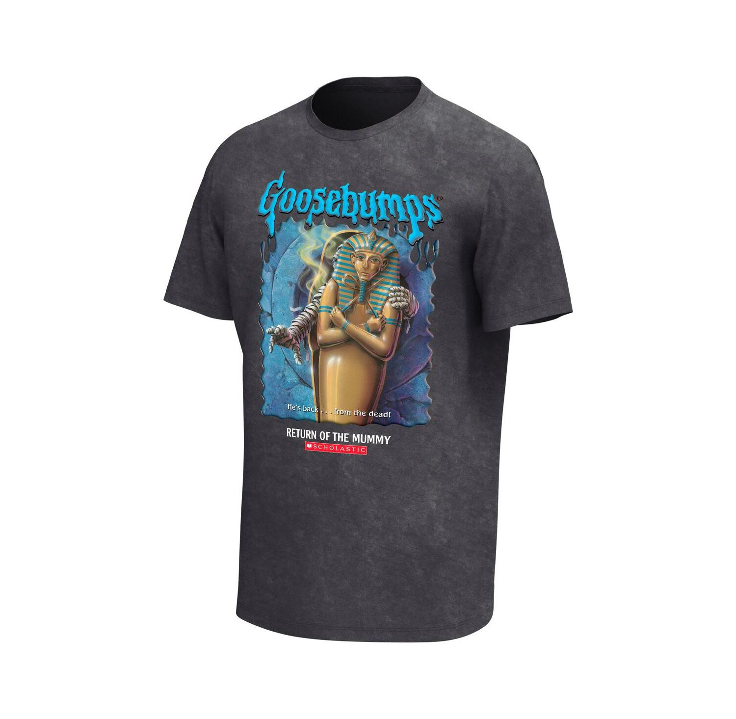 Men's Charcoal Goosebumps Return of the Mummy Washed Graphic T-Shirt