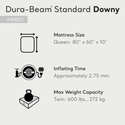 10 Inch Dura-Beam Standard Downy Air Mattress, Queen (Pump Not Included)