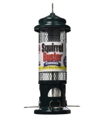 1057 Squirrel Buster Standard Wild Bird Feeder 1.3 Lb Capacity