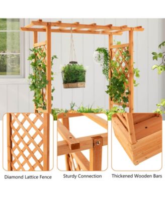 Raised Garden Bed with Trellis or Climbing Plant and Pot Hanging