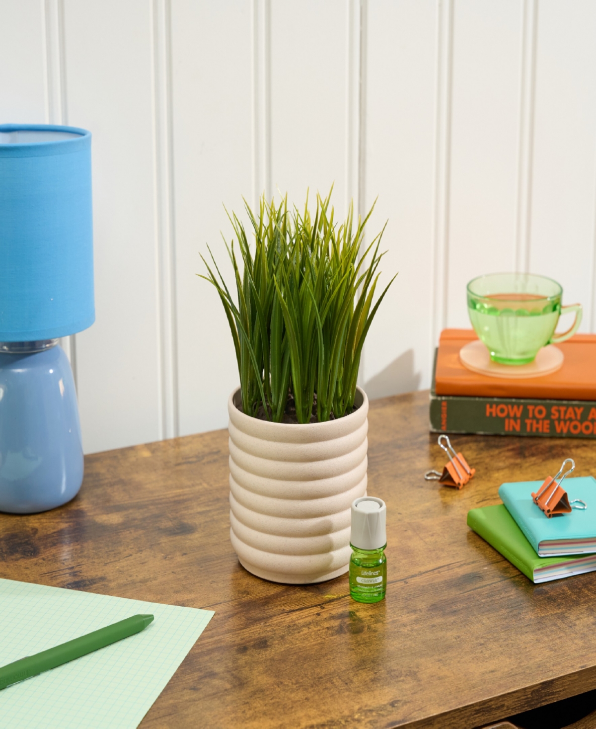 Lifelines Grass Plant Diffuser In Bubble White