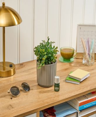 Boxwood Plant Diffuser