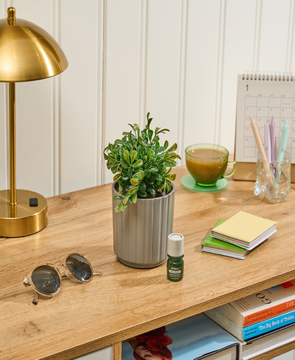 Lifelines Boxwood Plant Diffuser In Ribbed Gray