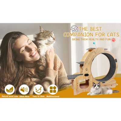 6-in-1 Cat Wheel Exercise, House, Shelf, Bowl, Treadmill