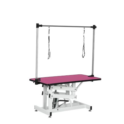  42.5" Adjustable Hydraulic Pet Grooming Table with Arm