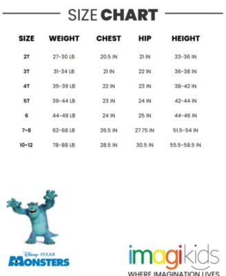 Toddler Boys Disney Winnie the Pooh Lion King Pixar Toy Story Tigger T-Shirt and Mesh Shorts Outfit Set to