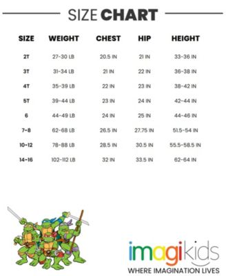 Boys Leonardo Michelangelo Raphael Donatello 4 Pack T-Shirts