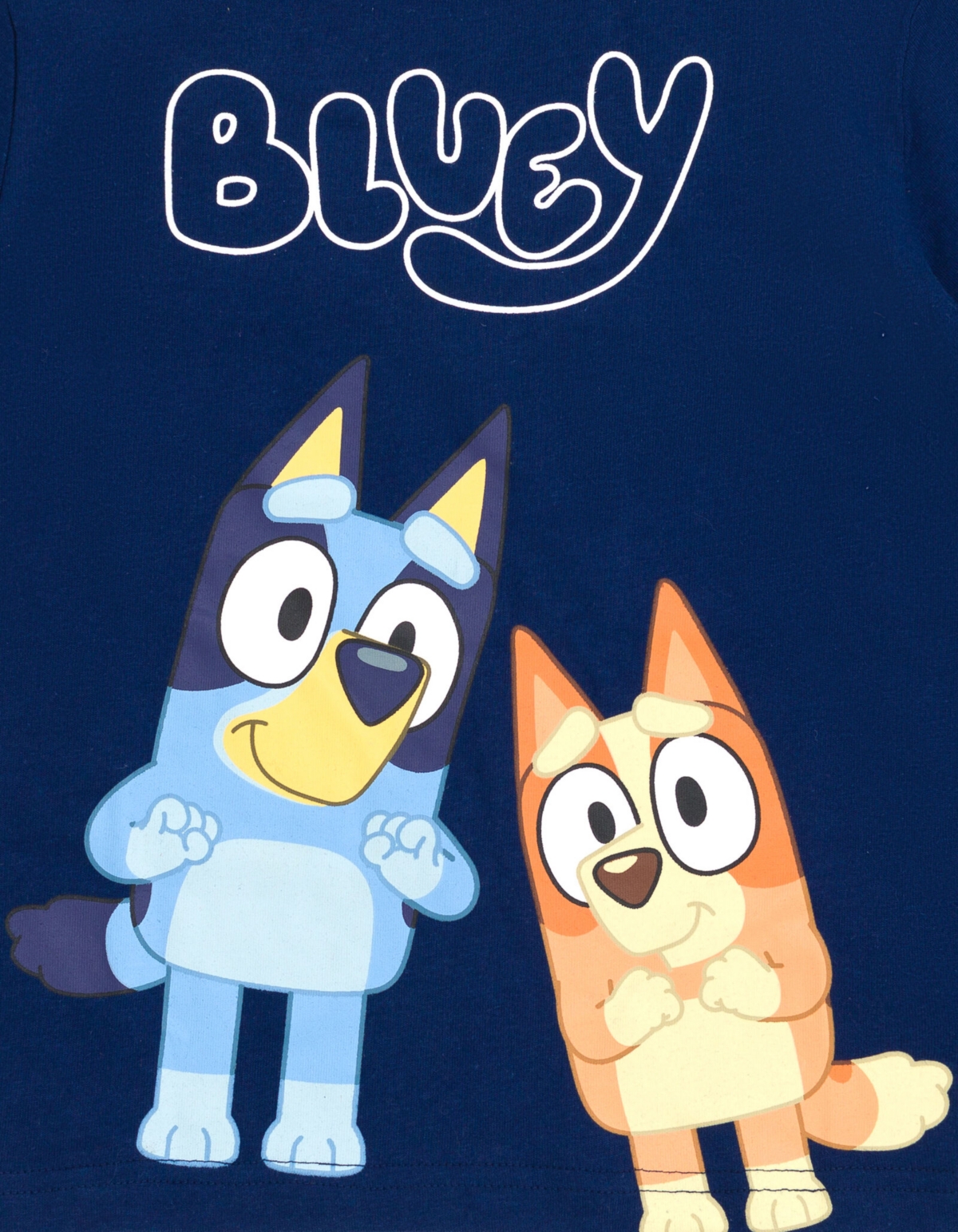 Bluey Toddler Boys Bingo T-Shirt and Mesh Shorts Outfit Set to -/ silver
