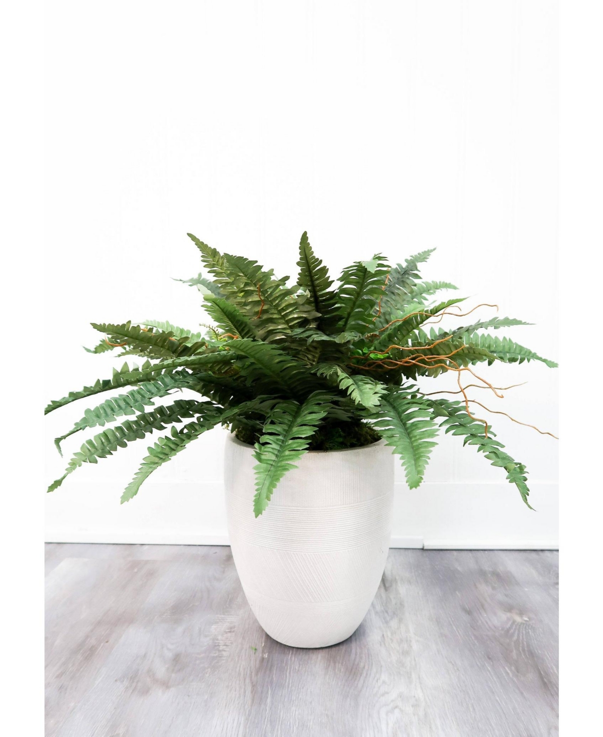 Slickblue Set of 2 Boston Ferns – Lush Indoor Plants for Elegant Home Decor