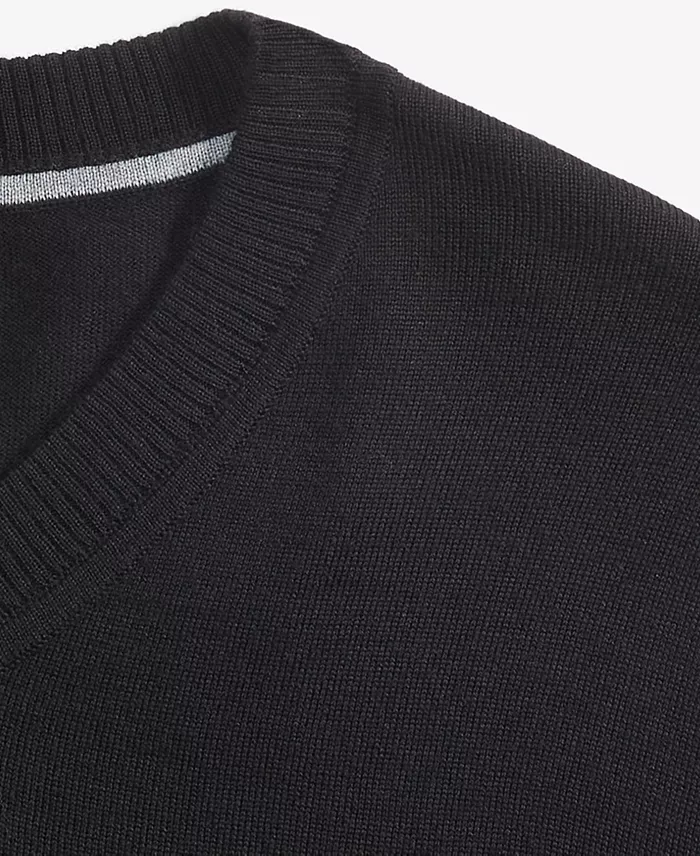 Men's Long-Sleeve V-Neck Merino Sweater - thumbnail 6