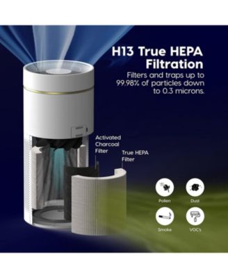 USA WOOZOO Air Purifiers with H13 True HEPA Filter Remove Up to 99.97% of Particles 1558ft